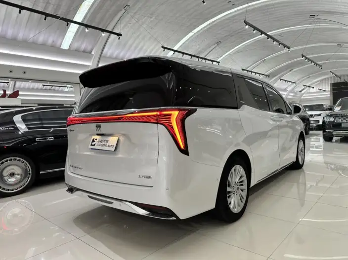 Century 2025 Model 2.0T VI seat Yunshi Edition – фото 5