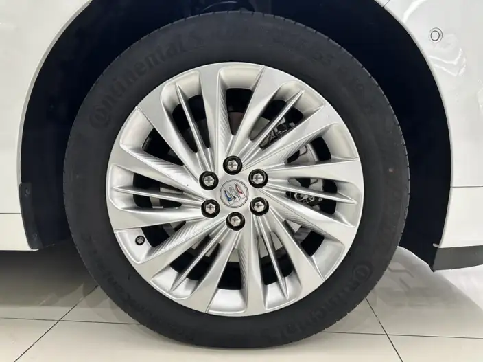 Century 2025 Model 2.0T VI seat Yunshi Edition – фото 7