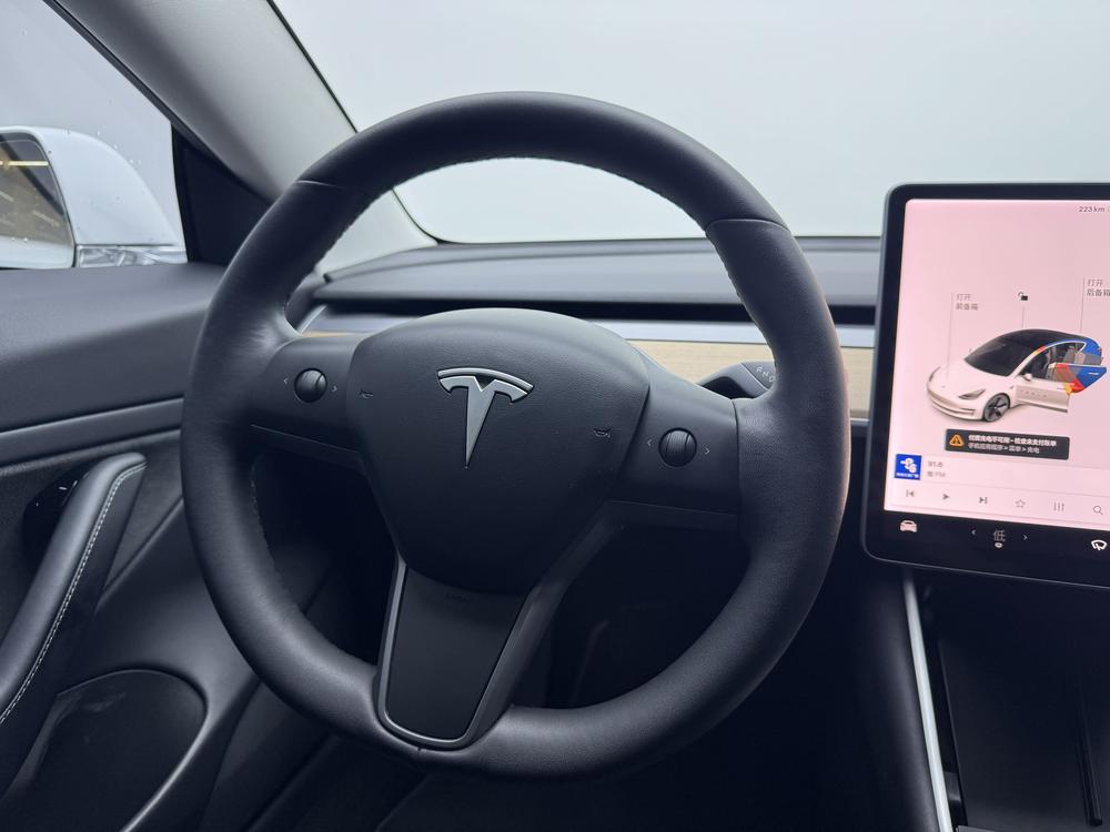 Model 3 import Модель 2019 года Long Battery Li f e Pro All-wheel drive version – фото 16