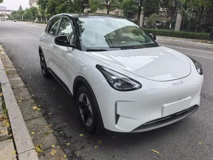 Geely Galaxy StarWish 2025 Model UP 410km Tiggo Edition