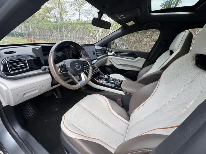 BYD Qin PLUS DM 2023 Model DM-i Champion Edition 120KM Leading Model – фото 8
