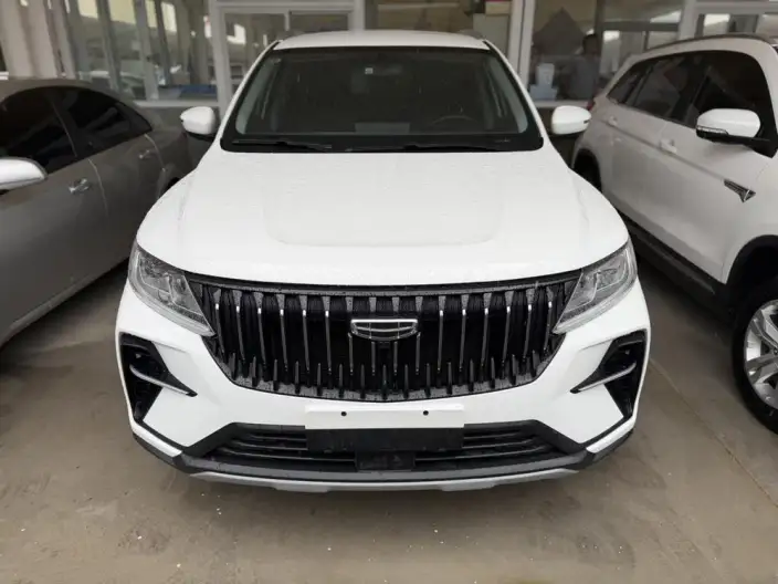 Geely Vision X6 2021 Model PRO 1.4T Manual Luxury Model