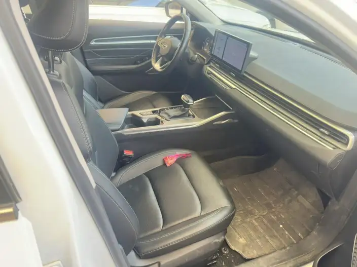 Geely Emgrand 2023 Model No. 4 Gen Champion Edition 1.5L CVT Noble Model – фото 10