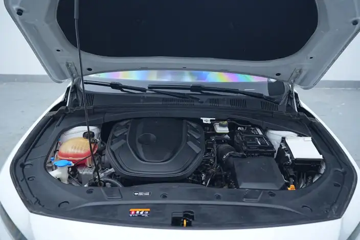 Geely StarRui 2021 Model 2.0T Noble Model – фото 10