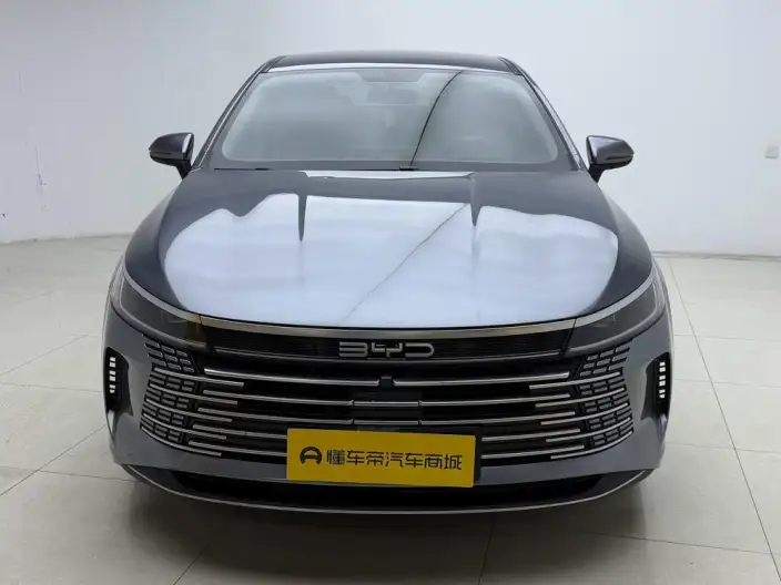 BYD Destroyer 05 2024 Model Honor Edition DM-i 55KM Luxury Model – фото 2
