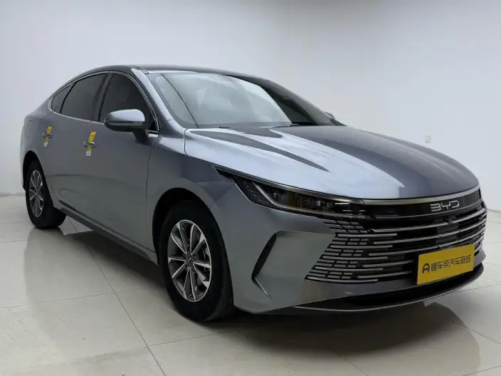 BYD Destroyer 05 2024 Model Honor Edition DM-i 55KM Luxury Model – фото 3