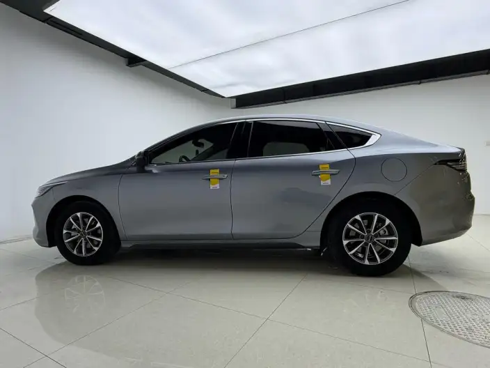 BYD Destroyer 05 2024 Model Honor Edition DM-i 55KM Luxury Model – фото 4