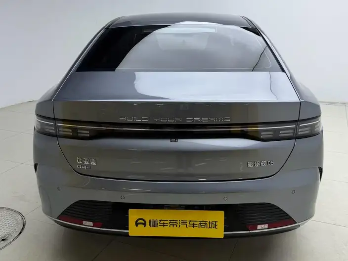 BYD Destroyer 05 2024 Model Honor Edition DM-i 55KM Luxury Model – фото 6