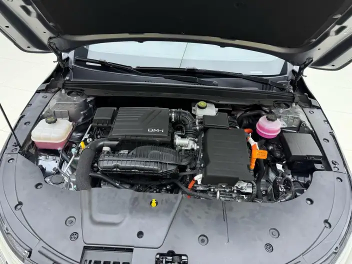 BYD Destroyer 05 2024 Model Honor Edition DM-i 55KM Luxury Model – фото 10