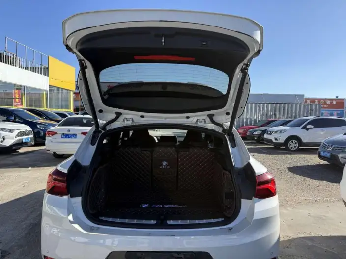 BMW X2 2023 Model sDrive25i Bright Edition – фото 9