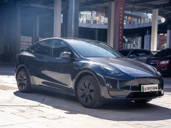 Model Y 2024 Model Rear-wheel drive version – фото 3