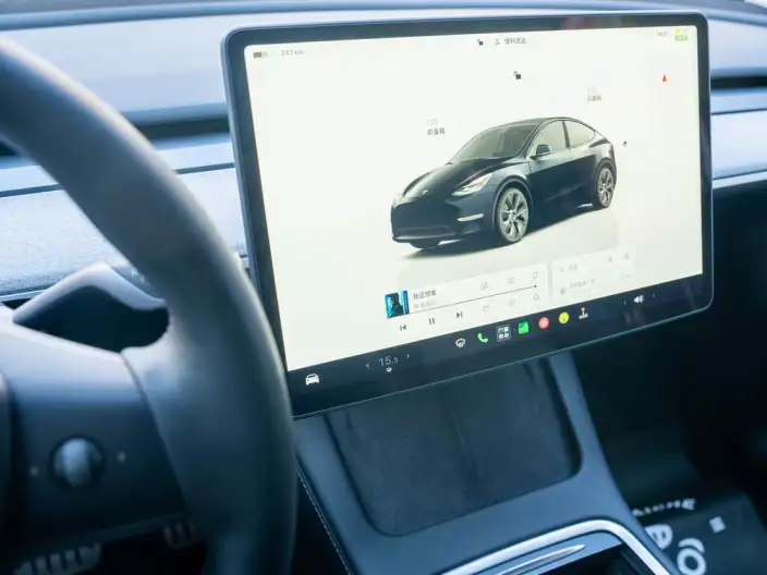 Model Y 2024 Model Rear-wheel drive version – фото 8