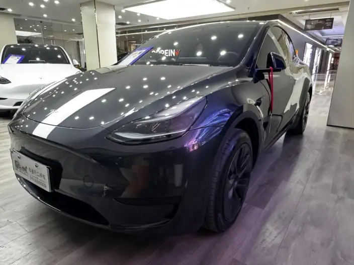 Model Y 2024 Model Rear-wheel drive version – фото 1