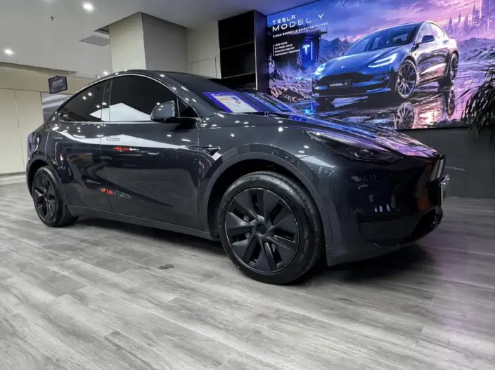Model Y 2024 Model Rear-wheel drive version – фото 3