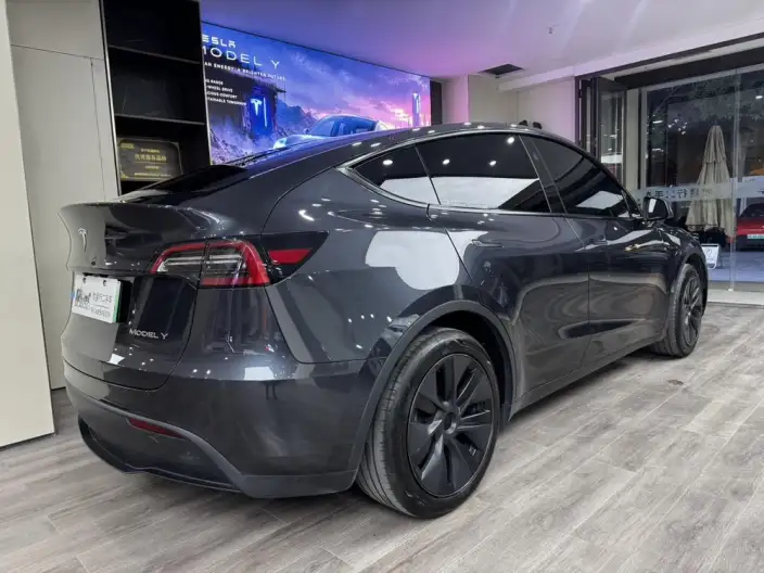 Model Y 2024 Model Rear-wheel drive version – фото 5