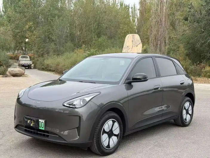Geely Galaxy StarWish 2025 Model 310km Youth Edition