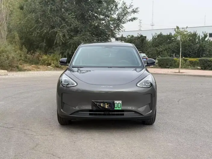 Geely Galaxy StarWish 2025 Model 310km Youth Edition