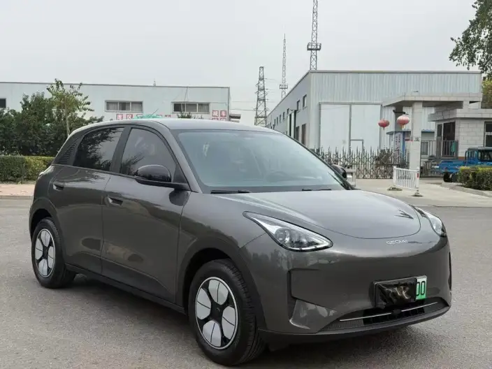 Geely Galaxy StarWish 2025 Model 310km Youth Edition
