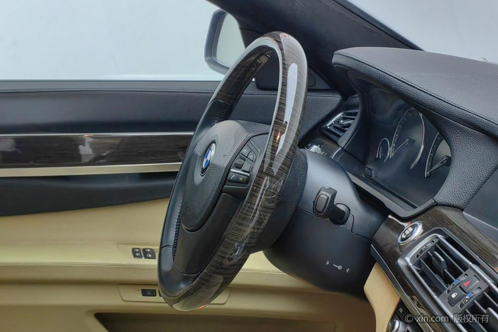 BMW 7 Series 2009 730Li Advantage – фото 7