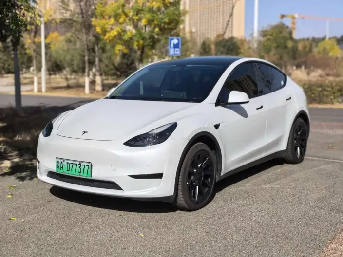Model Y 2022 Model Facelift Rear-wheel drive version – фото 1
