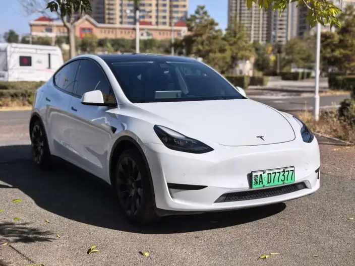 Model Y 2022 Model Facelift Rear-wheel drive version – фото 3