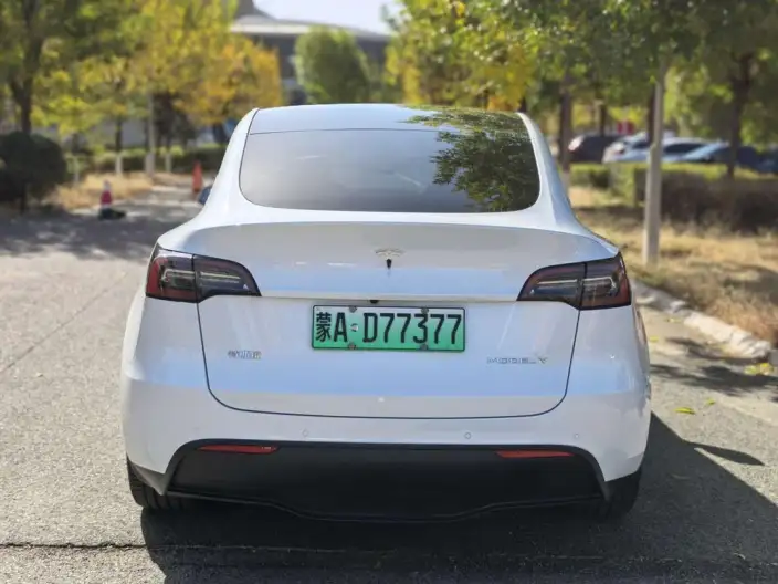 Model Y 2022 Model Facelift Rear-wheel drive version – фото 5