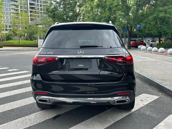 Mercedes-Benz GLS 2024 Model GLS 450 4MATIC Luxury Model – фото 6