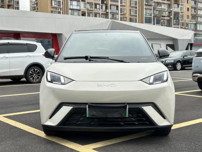 BYD Seagull 2025 Model 305KM Free Edition – фото 2