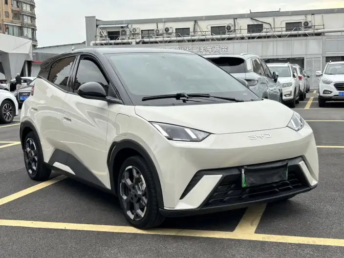 BYD Seagull 2025 Model 305KM Free Edition – фото 3