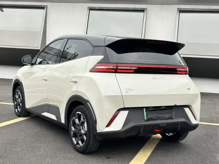 BYD Seagull 2025 Model 305KM Free Edition – фото 4