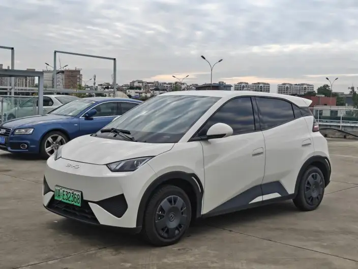 BYD Seagull 2025 Model Smart Driving Edition 305KM Vitality Edition – фото 1
