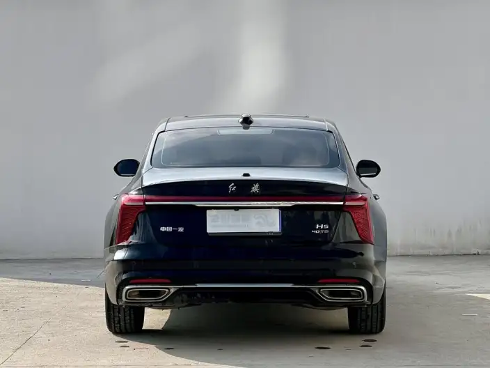 Hongqi H5 2024 Model 2.0T Automatic Flag Enjoy Edition – фото 5