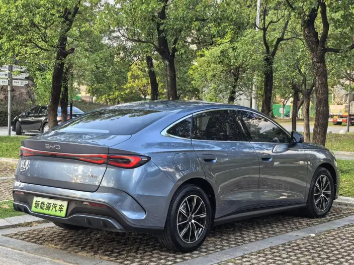 BYD Seal 06 DM 2024 Model DM-i 80KM Noble Model – фото 5