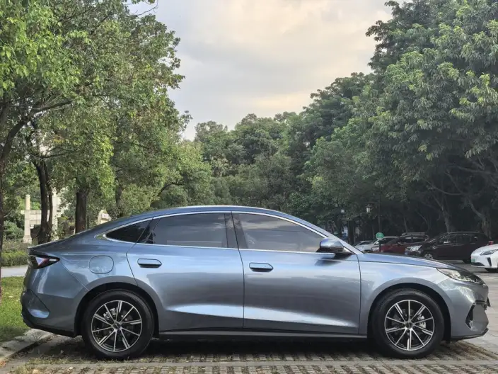 BYD Seal 06 DM 2024 Model DM-i 80KM Noble Model – фото 6
