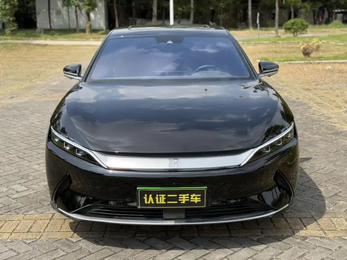 BYD Han EV 2020 Model 4WD High performance Edition Flagship Model – фото 2