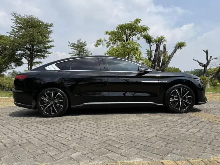 BYD Han EV 2020 Model 4WD High performance Edition Flagship Model – фото 7
