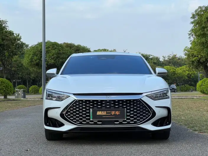 BYD Han DM 2023 Model DM-i Champion Edition 121KM Exclusive Model – фото 2
