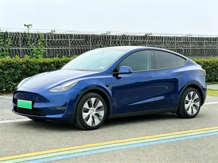 Model Y 2021 Model Standard Battery Life Rear-wheel drive version – фото 1
