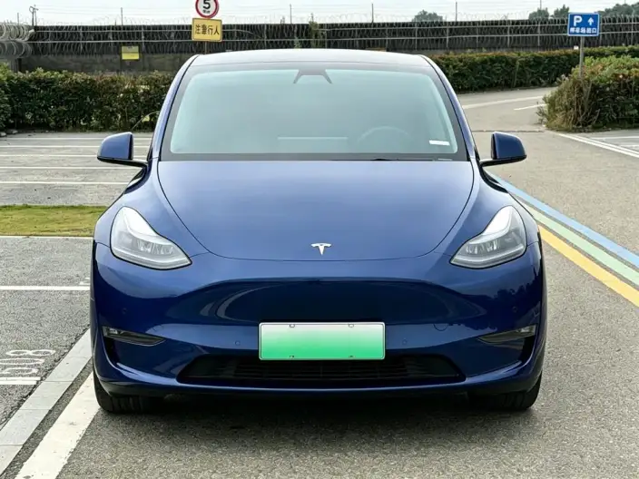 Model Y 2021 Model Standard Battery Life Rear-wheel drive version – фото 2