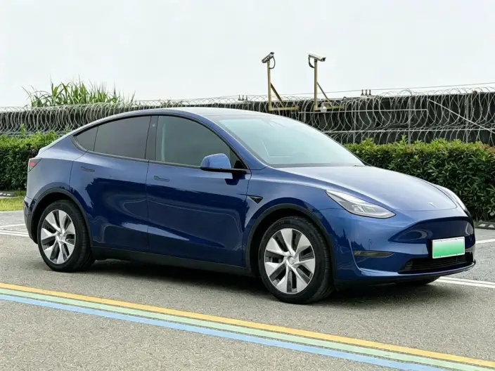 Model Y 2021 Model Standard Battery Life Rear-wheel drive version – фото 3