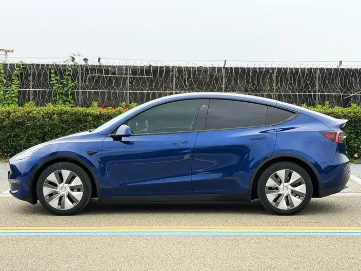 Model Y 2021 Model Standard Battery Life Rear-wheel drive version – фото 4