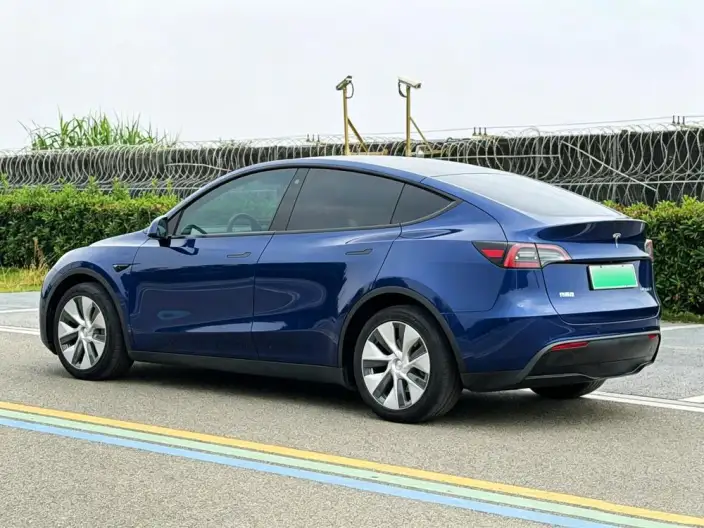 Model Y 2021 Model Standard Battery Life Rear-wheel drive version – фото 5