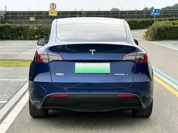 Model Y 2021 Model Standard Battery Life Rear-wheel drive version – фото 6