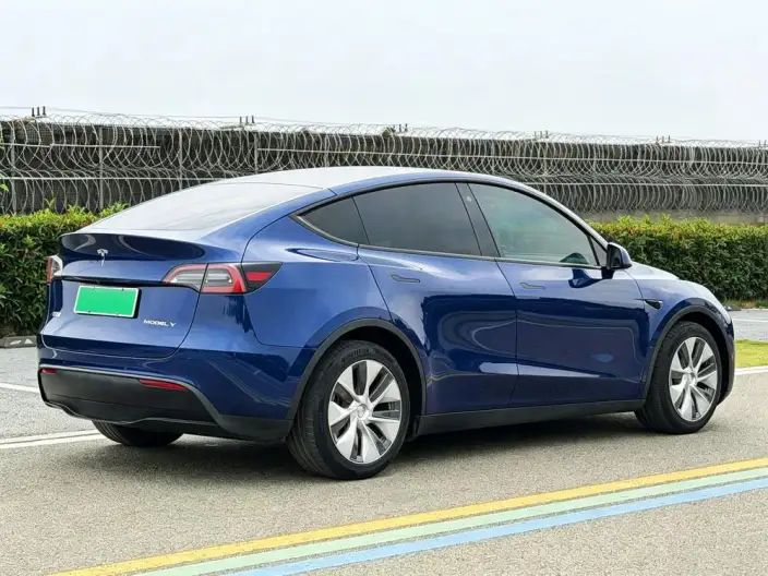Model Y 2021 Model Standard Battery Life Rear-wheel drive version – фото 7