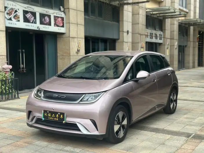 BYD Dolphin 2023 Model Fashion Edition