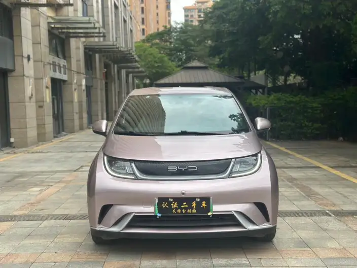 BYD Dolphin 2023 Model Fashion Edition