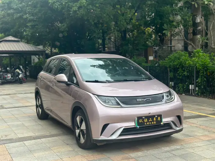 BYD Dolphin 2023 Model Fashion Edition