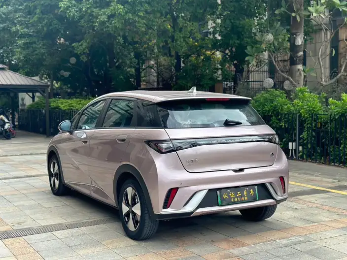 BYD Dolphin 2023 Model Fashion Edition
