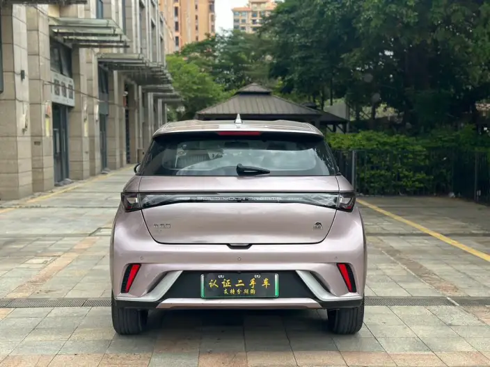 BYD Dolphin 2023 Model Fashion Edition – фото 5