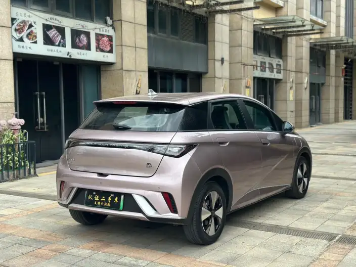 BYD Dolphin 2023 Model Fashion Edition – фото 6